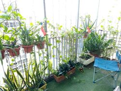 Forestville (D25), Condominium #480586741